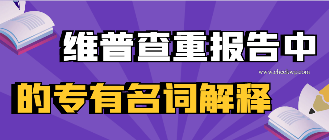 维普查重报告中的专有名词解释